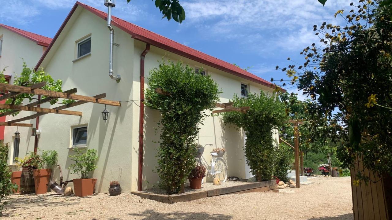 Quinta Vale Salgueiro Apartment Seia Exterior foto