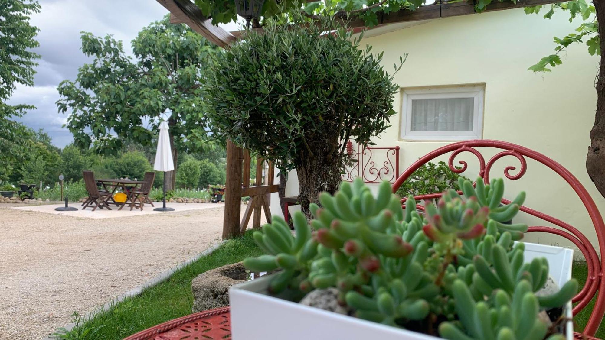 Quinta Vale Salgueiro Apartment Seia Exterior foto